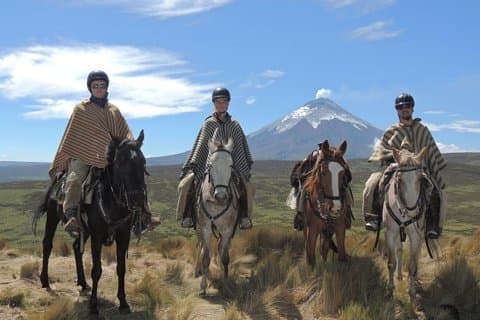 Paseos a caballo y excursión de un día al Parque Nacional Cotopaxi