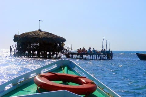 3-dagars sightseeingtur på Treasure Beach och Negril som avgår från Montego Bay