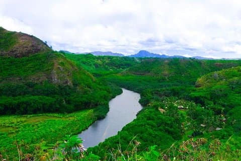 Kauai: Waimea Canyon, Wailua River Boat and Fern Grotto Tour