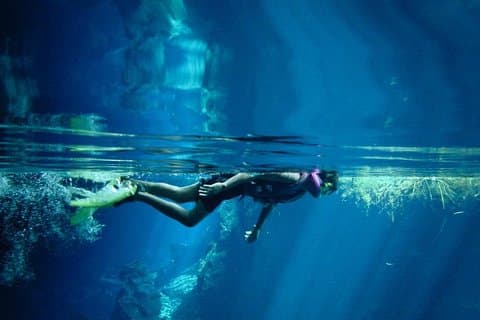 Sortie snorkeling à Cozumel au départ de Playa del Carmen