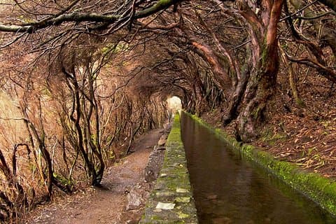 Full-Day Rabaçal Levada Walk from Funchal