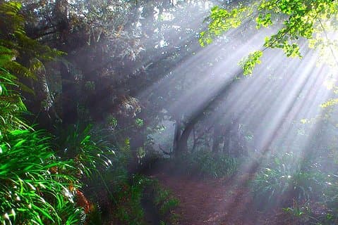 Paradise Valley - Levada Walk
