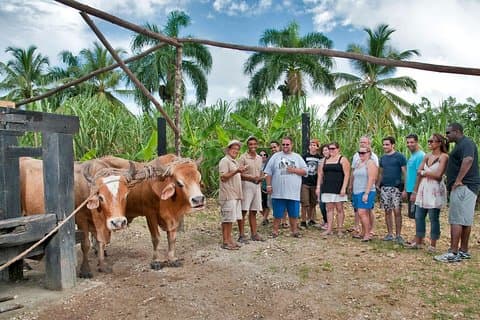 Bayahibe La Romana Discovery Full Day Tour