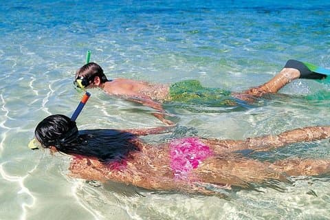 Snorkeling Discovery sailing in Los Cabos