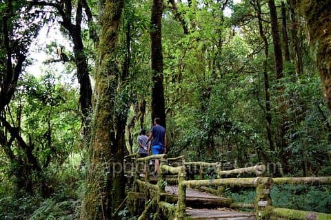 Hotell i nærheten av Doi Inthanon National Park & Trekking on Kew Mae Pan