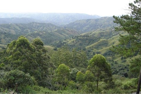 Durban Shore Excursion: Valley of 1000 Hills och PheZulu Tour