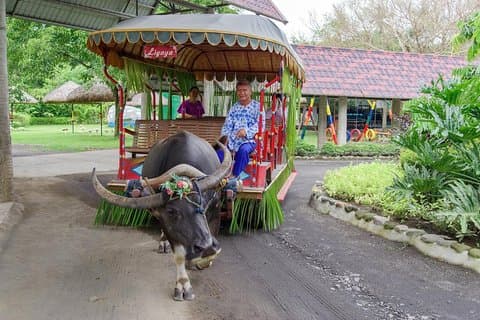 Privat Full-Day Shore Excursion Villa Escudero