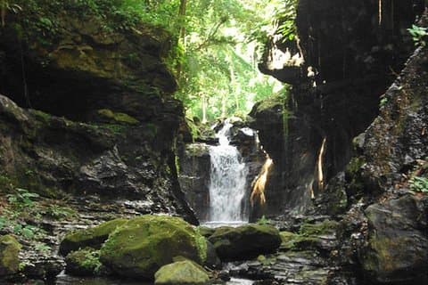 Hidden Valley Springs with Lunch from Manila