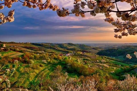 Collio: Cividale Del Friuli och Vinprovningar från Trieste