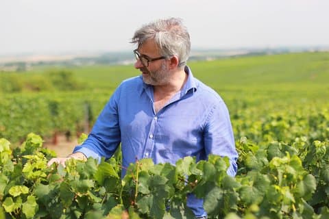 Champagne VIP Day Trip from Paris With Local PRIVATE Wine Expert Guide