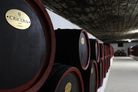 2 escursioni in un giorno: azienda vinicola Cricova, città di Tiraspol e fortezza di Bender!