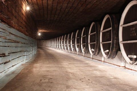 Tour della città di Chisinau e azienda vinicola Milestii Mici