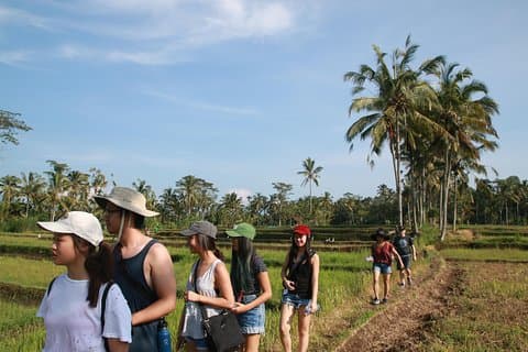 Trekking and Sightseeing tour with lunch