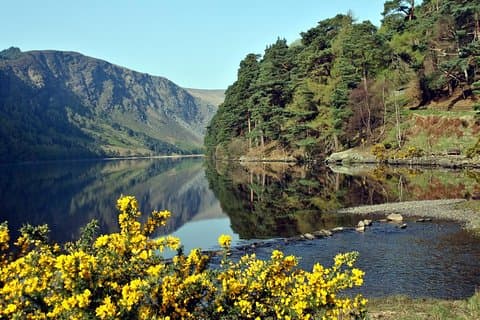Små gruppeturer fra Dublin til Powerscourt, Wicklow og Glendalough