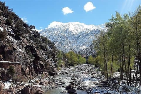 Ourika Valley including Camel Ride Lunch and Guided Hike Day Tour from Marrakech