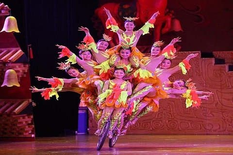 Acrobatics show tickets (transporte privado incluído)
