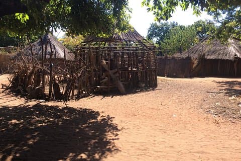 Community visits - full day package