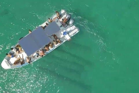 Dinghy tour in Porto Cesareo, Punta Prosciutto and Islands