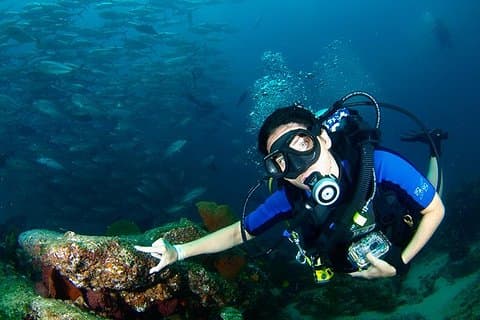 Curso "Discover Scuba Diving"