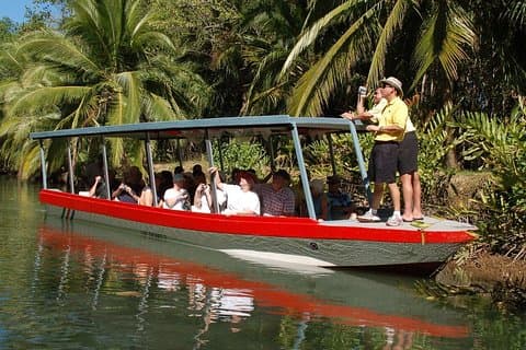 Damas Island Mangrove Boat Tour with Wildlife from Manuel Antonio