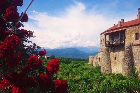 Kaheti Wine Tasting and Sightseeing Tour