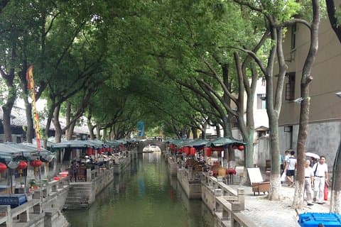 Tour di un giorno privato: Tongli Water Town da Shanghai