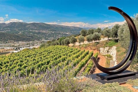 Provence Biowein Halbtagestour in kleiner Gruppe mit Verkostungen ab Nizza