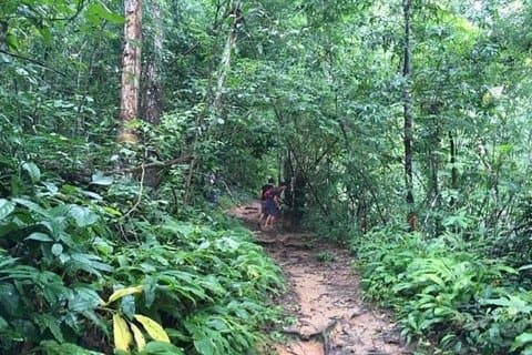 Trekking sur la piste des moines et visite privée du temple Doi Suthep