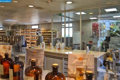 Segreti di vinificazione e profumeria sulla Costa Azzurra. Escursione a Cannes