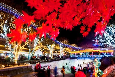 Tour indipendente al Festival delle lanterne di ghiaccio di Yanqing con trasferimento privato