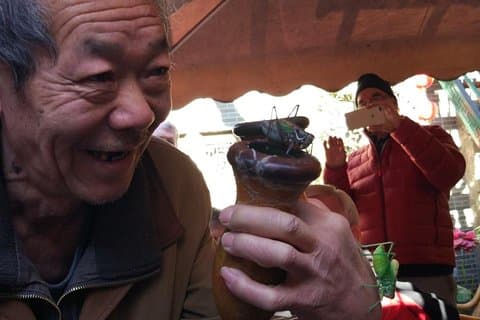 Private Hutong Culture Tour med Dumpling Cooking Class plus Cricket Fighting Game