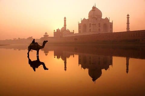Privat Taj Mahal Sunrise och Agra Fort Tour från Delhi - All Inclusive