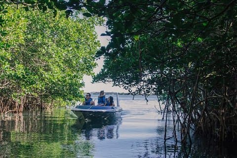 Cancun Mangrove Channel Adventure med transport