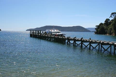 Full-Day Marlborough Catamaran Cruise with Wine Tour and Lunch