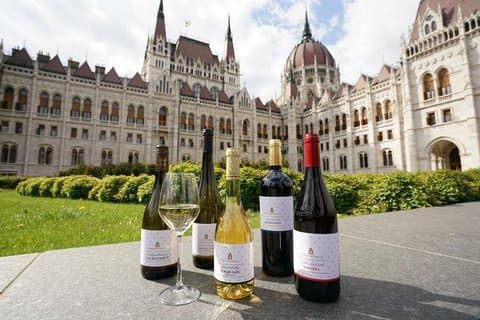 Excursão turística privada em Budapeste, incluindo excursão de vinho Etyek com almoço