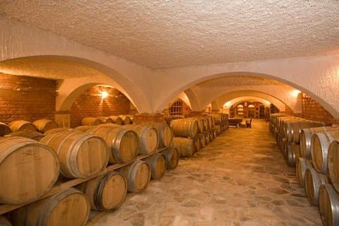 Peljesac Wine Private Day Trip vanuit Dubrovnik