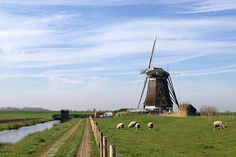 Excursão personalizável guiada privada de dia inteiro pela Holanda saindo de Amsterdã