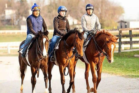 Behind the Scenes Thoroughbred Tour