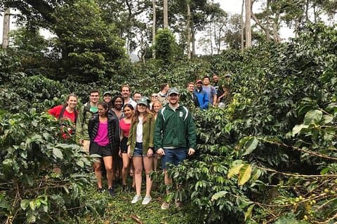 kaffe Express & exotisk frugt Market Medellin