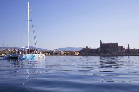 Palma Bay: Catamaran seglingsdag med måltid ingår
