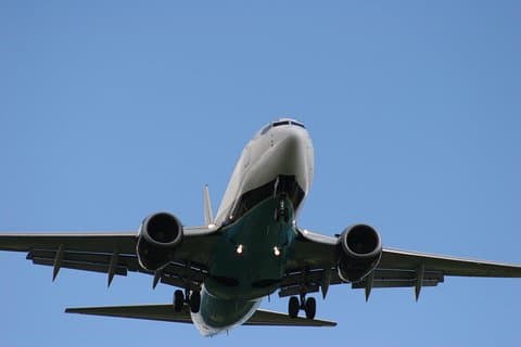 Privat ankomstoverførsel: Gatwick Lufthavn til Central London