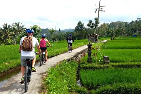 Elektrisk cykeltur i Ubud med gratis hotelltransfer och lunch