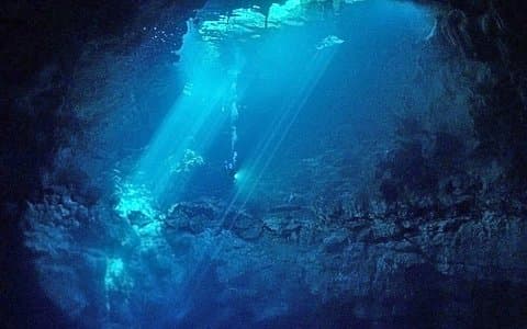 Cenotes 2-Tank Dive in Playa del Carmen/nur für zertifizierte Taucher
