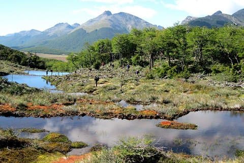 Tierra del Fuego National Park with Lapataia Bay from Ushuaia