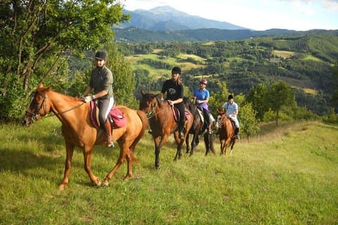 Private Horseback Riding Tour on Etna Area + Traditional Lunch