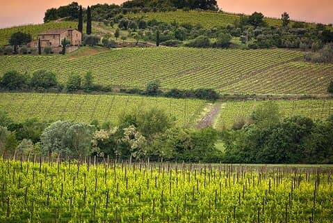 Tour privato del vino Brunello di Montalcino e del Nobile di Montepulciano in Toscana