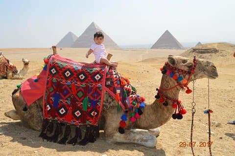Aufenthaltstour in Kairo Besuchen Sie Gizeh Pyramiden und Sakkara und Dahshour und Memphis
