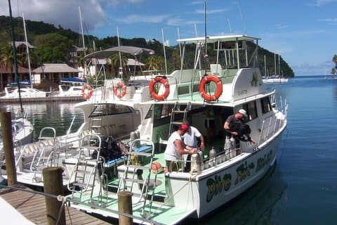 St Lucia Beginners dykkingstur