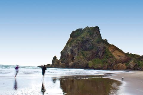 Punti salienti della città di Auckland, tour pomeridiano della spiaggia di Piha e della foresta pluviale