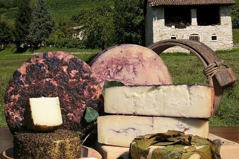 FOOD&WINE experience tasting local cheese and Prosecco wineries